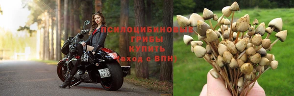 ешки Михайловск