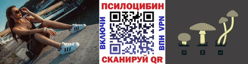 закладки Узловая Галлюциногенные грибы Magic Shrooms