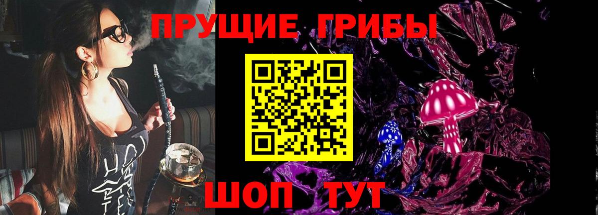 Узловая  Псилоцибиновые грибы прущие грибы  Вход с VPN 